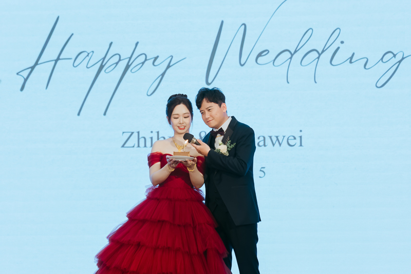 婚攝,婚禮紀錄,婚禮攝影,台北,喜來登飯店,類婚紗,史東,鯊魚團隊,